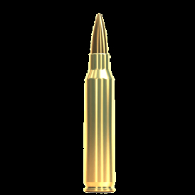 .223/5.56
